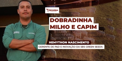 Dobradinha Milho X Capim para reestruturar solo e aprimorar nutrição dos animais em períodos de restrição
