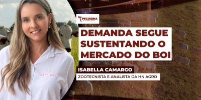 Indústrias testam preços menores para a arroba, enquanto pecuaristas seguram vendas à espera de preços melhores