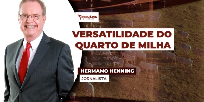 O Quarto de Milha se tornou a raça  "queridinha" do criador brasileiro  pela sua versatilidade
