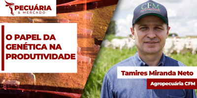 Tendências no mercado de tourinhos reprodutores e  o que busca o pecuarista comprador
