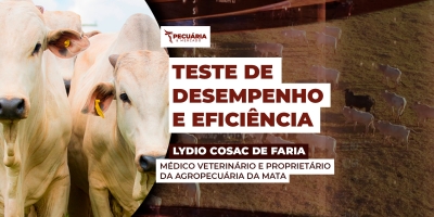 Teste de eficiência com o Nelore atrai interesse das centrais de genética