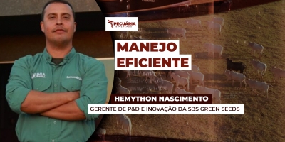 Dobradinha Milho X Capim para reestruturar solo e aprimorar nutrição dos animais em períodos de restrição