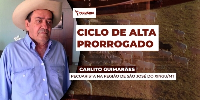 Pecuária brasileira deve ter ciclo de alta prorrogado depois do intenso volume de fêmeas abatidas, alerta pecuarista.