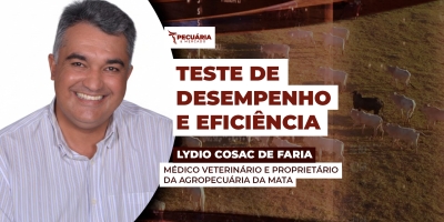 Teste de eficiência com o Nelore atrai interesse das centrais de genética