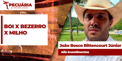 Relação de troca boi X bezerro é a pior dos últimos 11 anos com recente queda da arroba