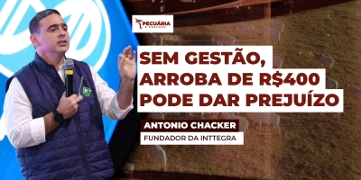 Fazenda pecuária eficiente tem que gerar resultado de 4% a 9% ao ano, alerta consultor