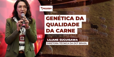 Ultrassonografia ajuda identificar animais com boa genética para carne de qualidade