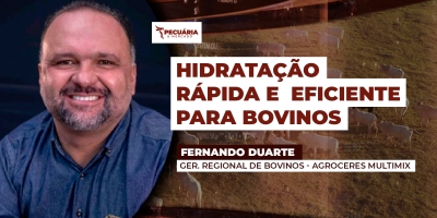 O agVitta Corte da Agroceres Multimix atua no combate ao estresse animal em situações de manejo ou transporte prolongados