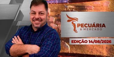 Oferta de animais vai direcionar preços da arroba com arrefecimento das demandas
