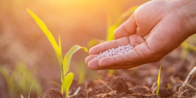 Importação recorde e preço em queda: o que está por trás do movimento do potássio no Brasil