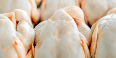 Preço do frango cai 5,2% em março e atinge menor nível desde 2023