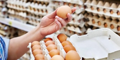 Preço dos ovos sobe na Quaresma, mas média segue a menor em quatro anos