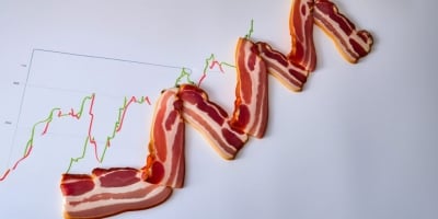 Preços de suínos caem no Reino Unido com avanço da produção e pressão nos custos