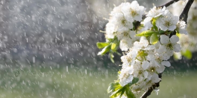 Primavera chega sob El Niño forte: o que esperar da próxima estação