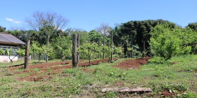 Produtores rurais têm menos de uma semana para entrega da declaração do Imposto Territorial Rural