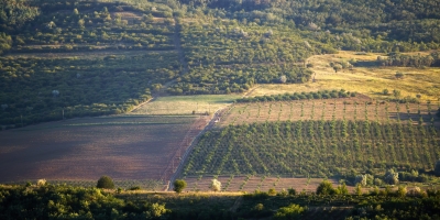 Famato orienta produtores sobre impacto do Prodes no crédito rural