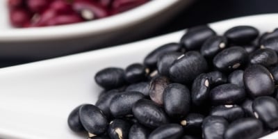 Feijão/Cepea: Preços do grão preto reagem neste começo de 2026