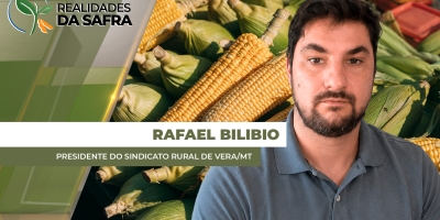 Colheita do milho começa a ganhar mais ritmo em Vera/MT