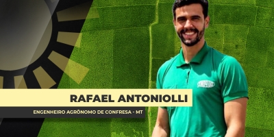 Com chuvas comprometendo colheita e plantio no MT, produtores se desafiam entre concluir a safra atual e planejar a próxima