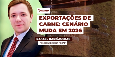 Exportações de carne em 2026: crescimento pontual e um cenário global mais desafiador