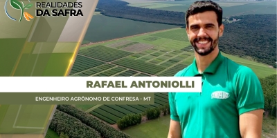 Lavouras se desenvolvem bem na região de Confresa / MT e próxima semana deve começar a colheita