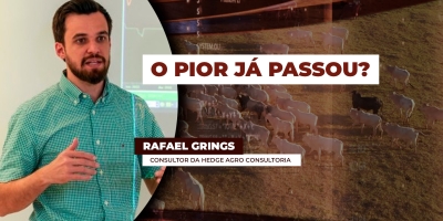 Virada no mercado? Arroba encontra sustentação após semanas de pressão