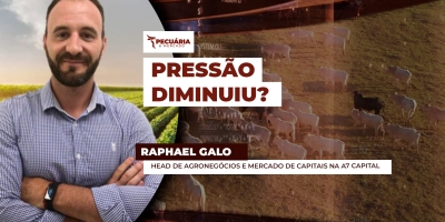 Pressão sobre arroba diminui com demanda de início de mês, mas cenário ainda é negativo para os preços