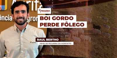 Semana começa com expectativa de novas baixas na arroba com mercado físico se ajustando à B3 e escalas alongadas