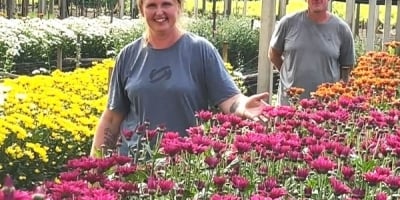 Produtores de Vale Real transformam cultivo de flores em fonte de renda e orgulho no campo