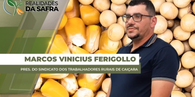 Caiçara/RS já tem áreas de soja com perdas de 50% na produtividade