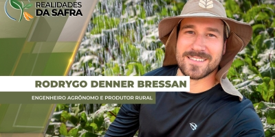 Colheita da soja começa em Pérola D´Oeste/PR com projeção de queda de produtividade