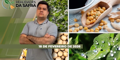 Corte das chuvas vai resultar em perdas para a soja de Caiçara/RS e Pérola D´Oeste/PR