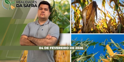 Clima afetou produtividade da soja em Rio Verde/GO e deve aumentar desafios da safra de tomate