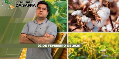 Colheita da soja e plantio do milho na reta final em Cascavel/PR e Amambai/MS