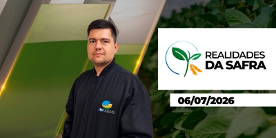 Condições de clima em julho trazem alerta para o milho de Maracaju/MS e para o trigo do Paraná e Rio Grande do Sul
