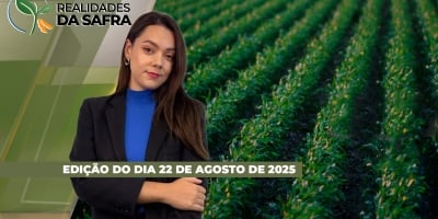 Balsas/MA finaliza colheita de milho, enquanto Pato Branco/PR se prepara para safra 25/26