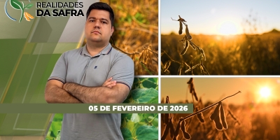 Chuvas impedem colheita e afetam soja do Tocantins, enquanto a seca trouxe perdas em São Pedro do Sul/RS