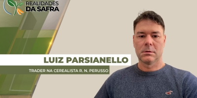 Produtividade do milho em Pato Branco/PR cresce 40% acima da média dos últimos cinco anos