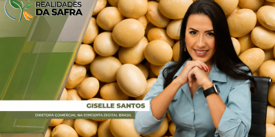 Fazenda no Maranhão se destaca pelo aumento da produtividade da soja