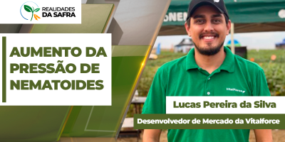 Pesquisadores alertam para aumento da pressão de nematoides nas lavouras do Mato Grosso do Sul