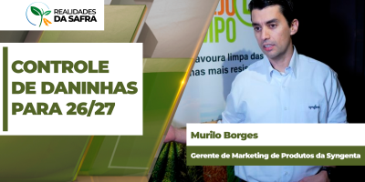 Safra 2026/27 promete aumento de plantas daninhas e produtor precisa iniciar controle logo após a colheita do milho