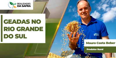 Rio Grande do Sul registra temperaturas negativas e geadas que atingiram lavouras de trigo, canola e milho