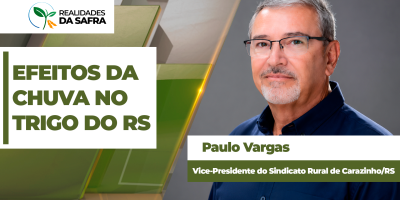 Carazinho/RS teve áreas com até 280 mm de chuvas em 24 horas e efeitos já são sentidos nas lavouras de inverno