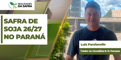 Chuvas deixam plantio da soja até 25 pontos percentuais atrasado em Pato Branco/PR e podem tirar área do milho safrinha