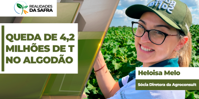 Rally do Algodão começa projetando queda de 4,2 milhões de toneladas nesta safra