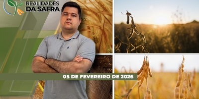 Mato Grosso avança colheita da soja com boas produtividades, mas atenção com chuvas e grãos avariados segue elevada