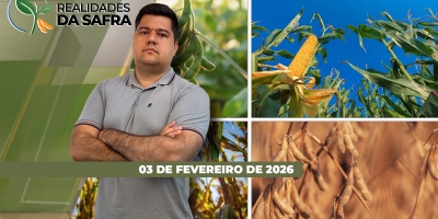 Lavouras de soja sofrem com seca no Paraguai e clima irregular também preocupa no Pará