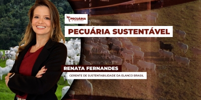 Perfil de produção da pecuária brasileira é sustentável, mas exige reposicionamento para ser solução ambiental