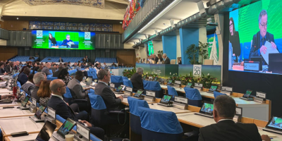 Mapa participa de sessão da FAO sobre proteção fitossanitária em Roma