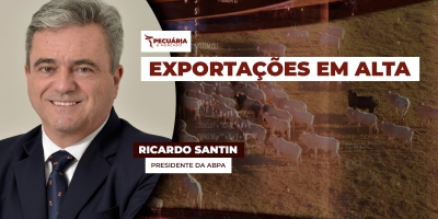Exportação de carne suína bate recorde  e  de frango cresce apesar da guerra no Oriente Médio no mês de março
